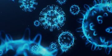 What do we know about the C.1.2 variant?