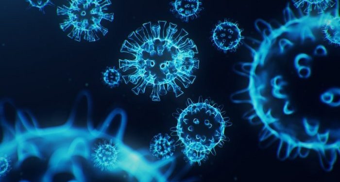 What do we know about the C.1.2 variant?