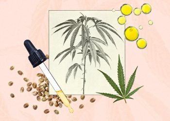 How Hemp CBD Can Help Save Lives