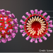What Is Coronavirus?