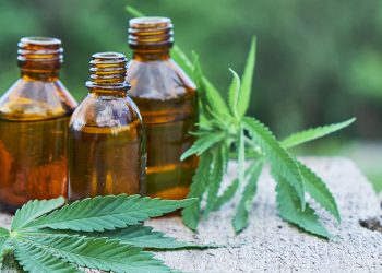 What are the health benefits of CBD Oil?