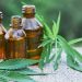 What are the health benefits of CBD Oil?