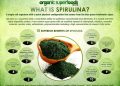 10 Benefits of Spirulina