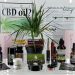 Cool CBD Products In The Market