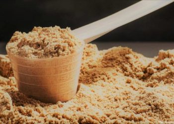 Does Protein Powder Help You With Weight Loss?