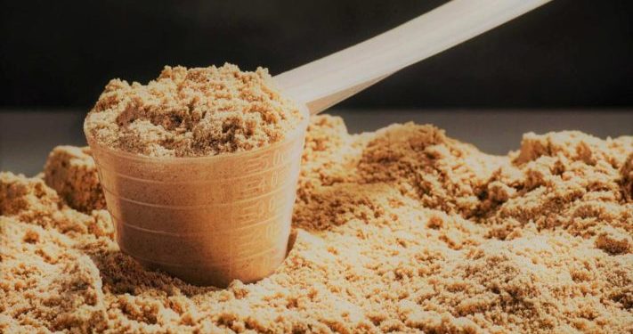 Does Protein Powder Help You With Weight Loss?