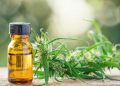 Fibromyalgia  swapping opioids for CBD to manage pain