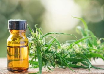 Fibromyalgia  swapping opioids for CBD to manage pain