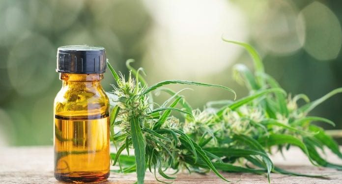 Fibromyalgia swapping opioids for CBD to manage pain