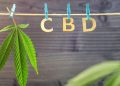 Marijuana-Cannabis-THC-CBD – Definitions and
