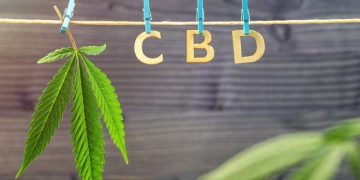 Marijuana-Cannabis-THC-CBD – Definitions and