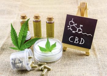Where Does CBD Come From?