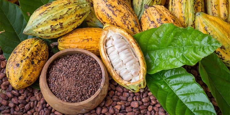 Benefits and side effects of Raw cacao