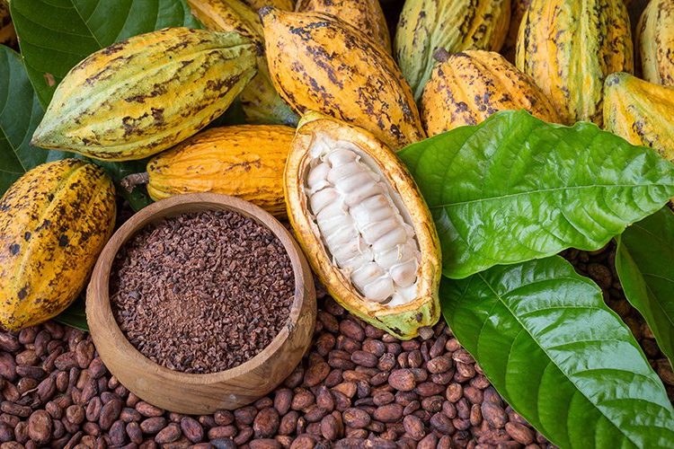Benefits and side effects of Raw cacao