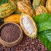 Benefits and side effects of Raw cacao