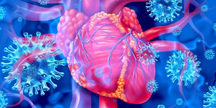 How COVID-19 affects heart health
