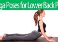 How yoga can help relieve back pain