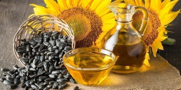 Potential risks of eating too many sunflower seeds